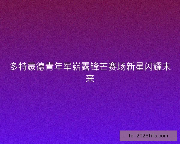 多特蒙德青年军崭露锋芒赛场新星闪耀未来